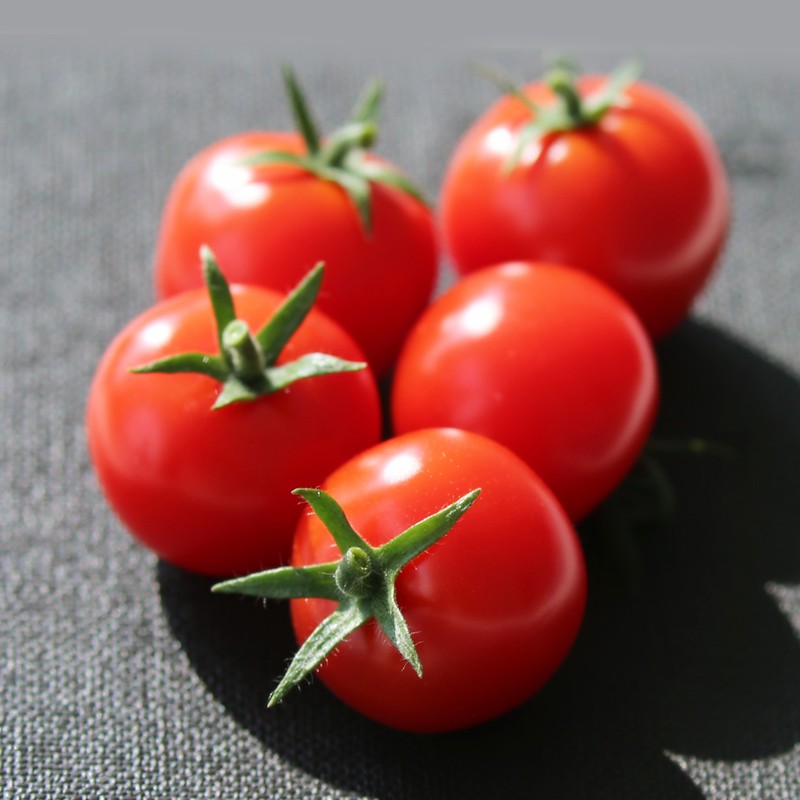 LETOU - 乐投(中文)官方网站