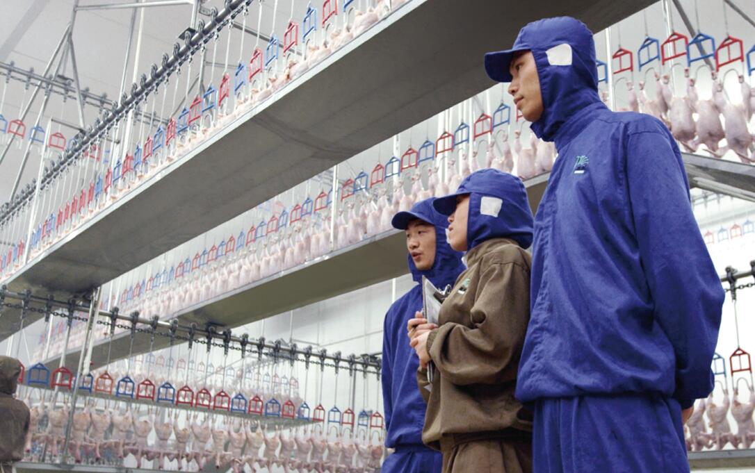 LETOU - 乐投(中文)官方网站