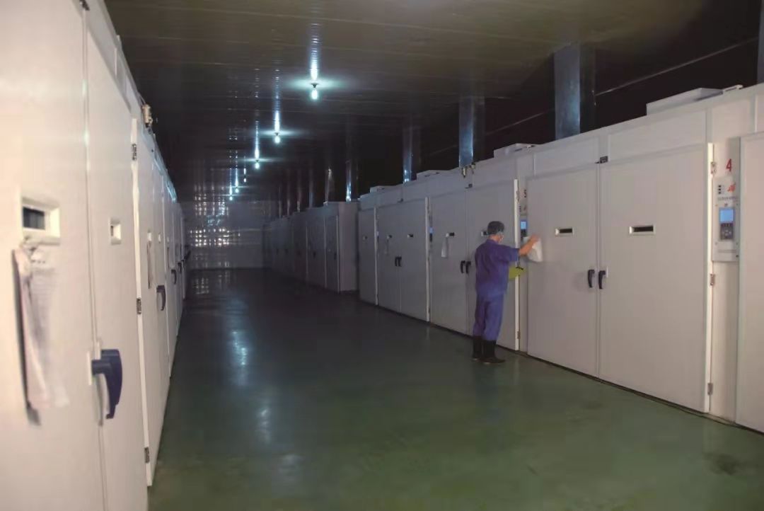 LETOU - 乐投(中文)官方网站