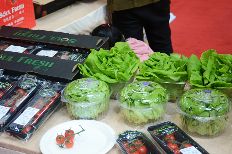 LETOU - 乐投(中文)官方网站