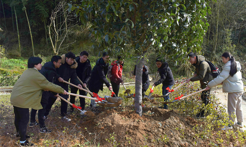 LETOU - 乐投(中文)官方网站