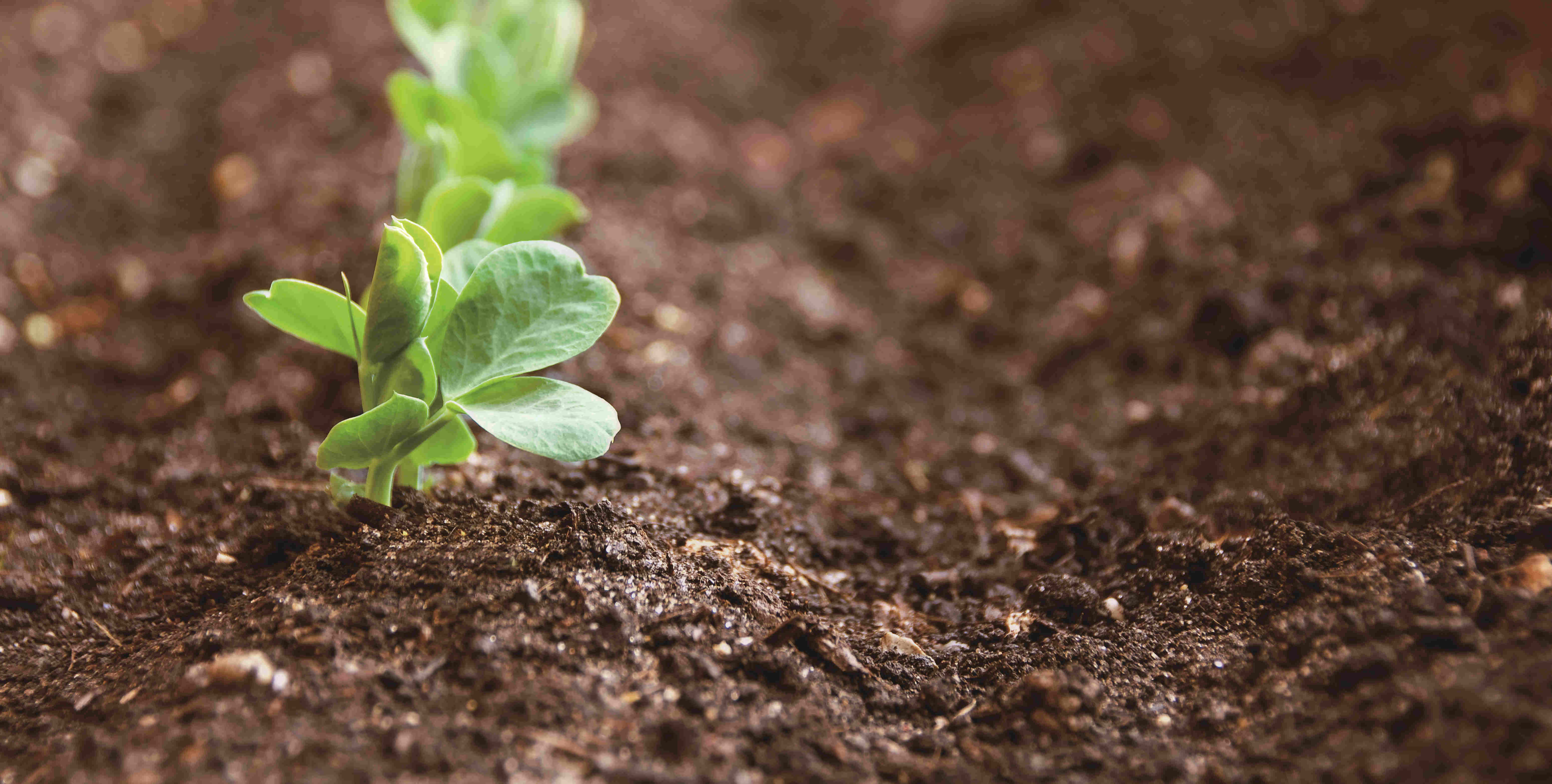 LETOU - 乐投(中文)官方网站