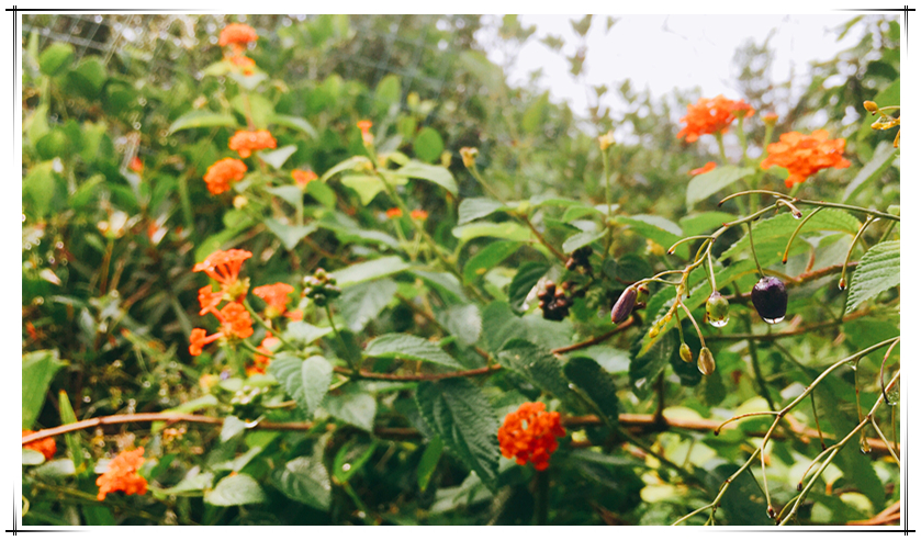 LETOU - 乐投(中文)官方网站