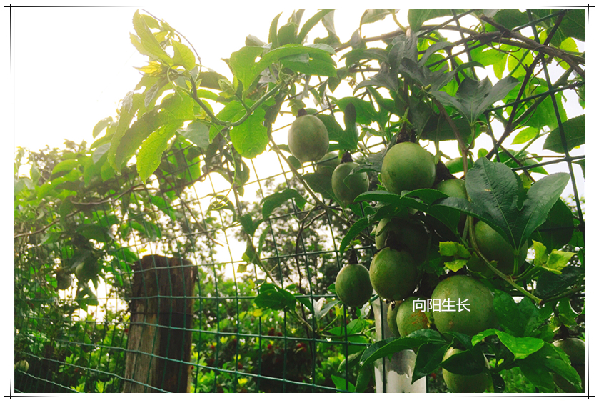 LETOU - 乐投(中文)官方网站