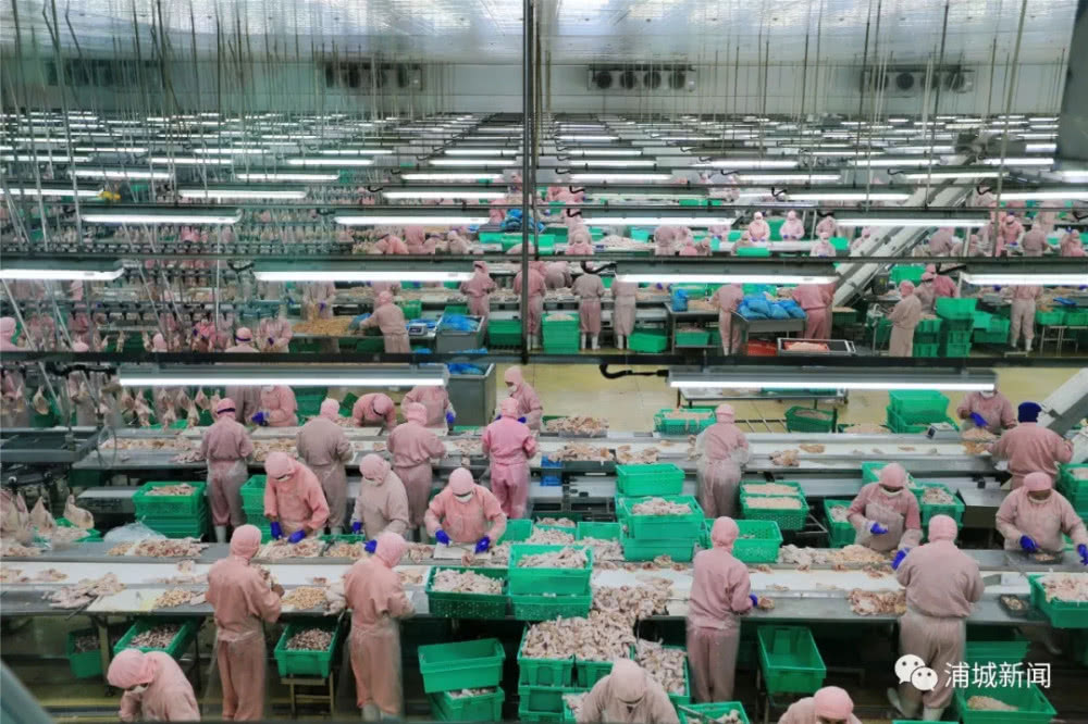 LETOU - 乐投(中文)官方网站