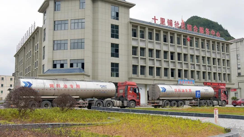 LETOU - 乐投(中文)官方网站