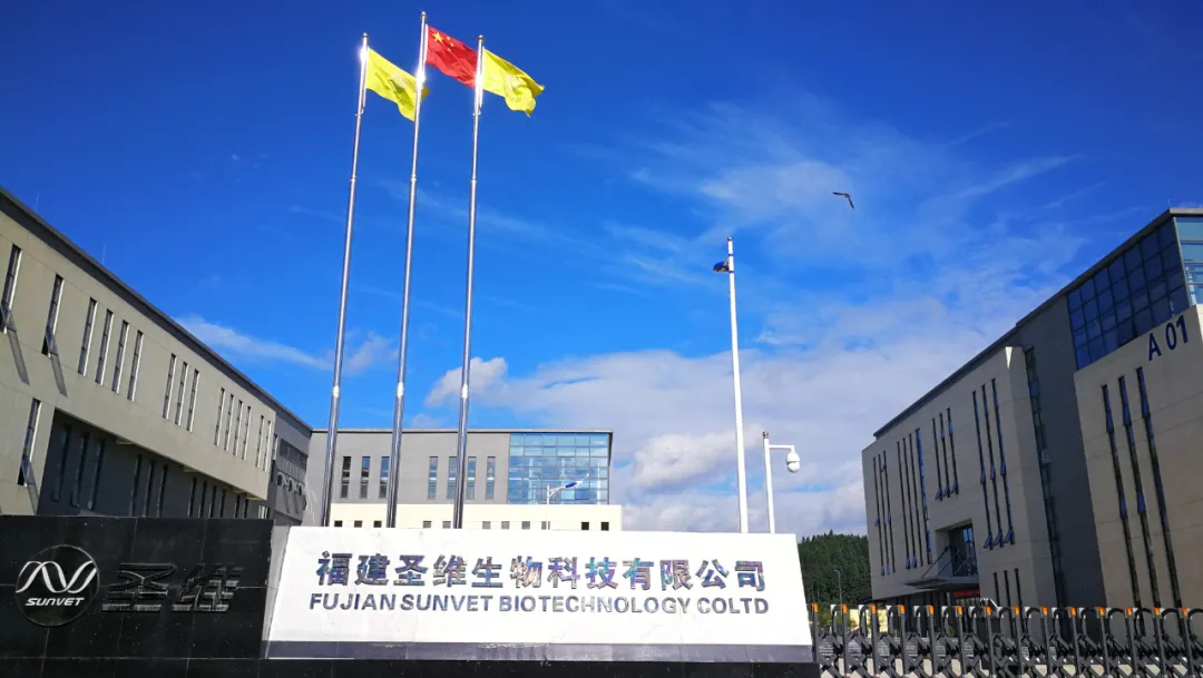 LETOU - 乐投(中文)官方网站