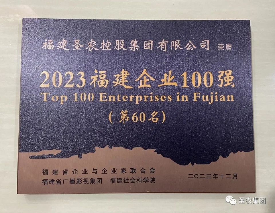 LETOU - 乐投(中文)官方网站