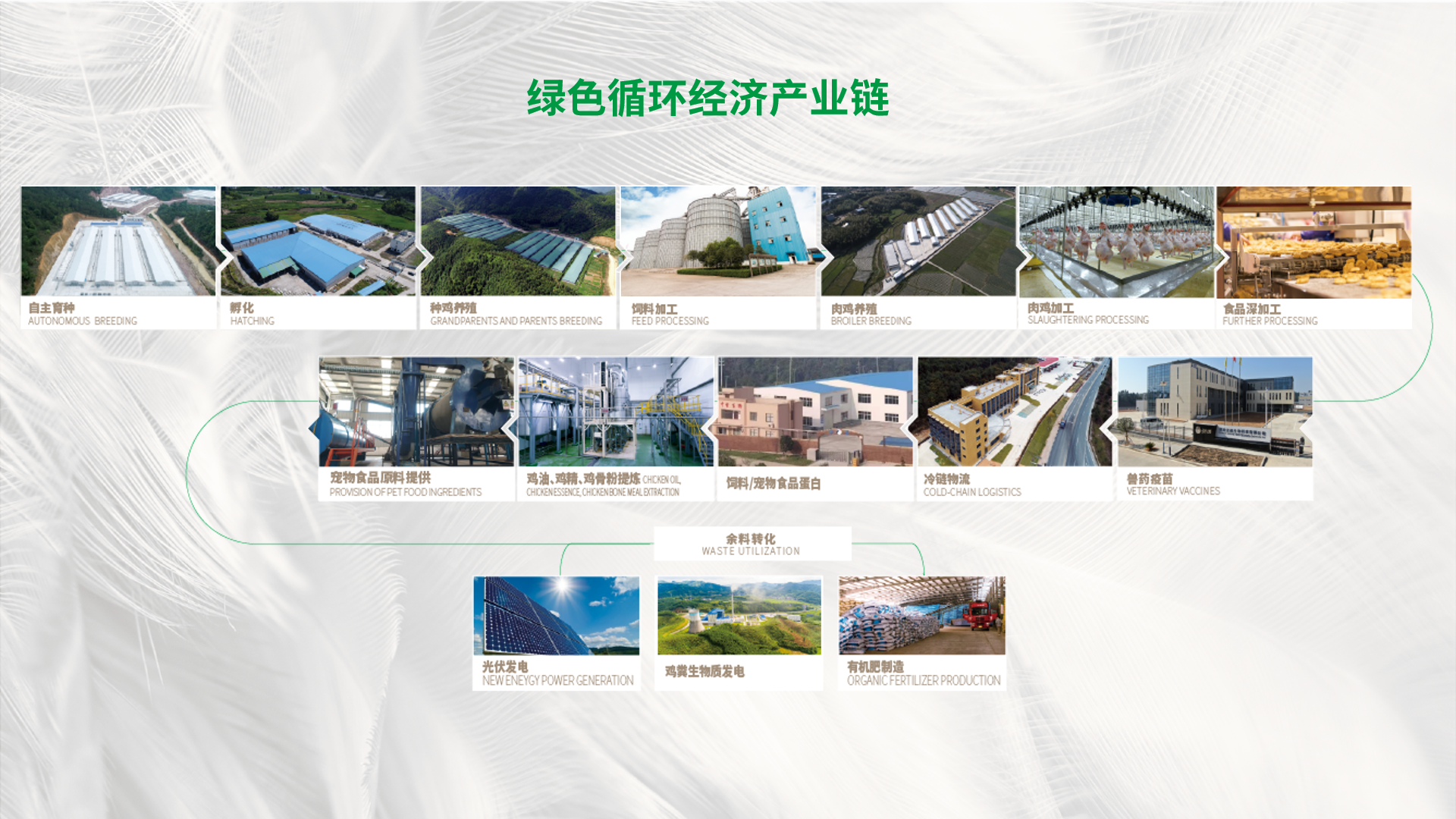 绿色循环经济工业链